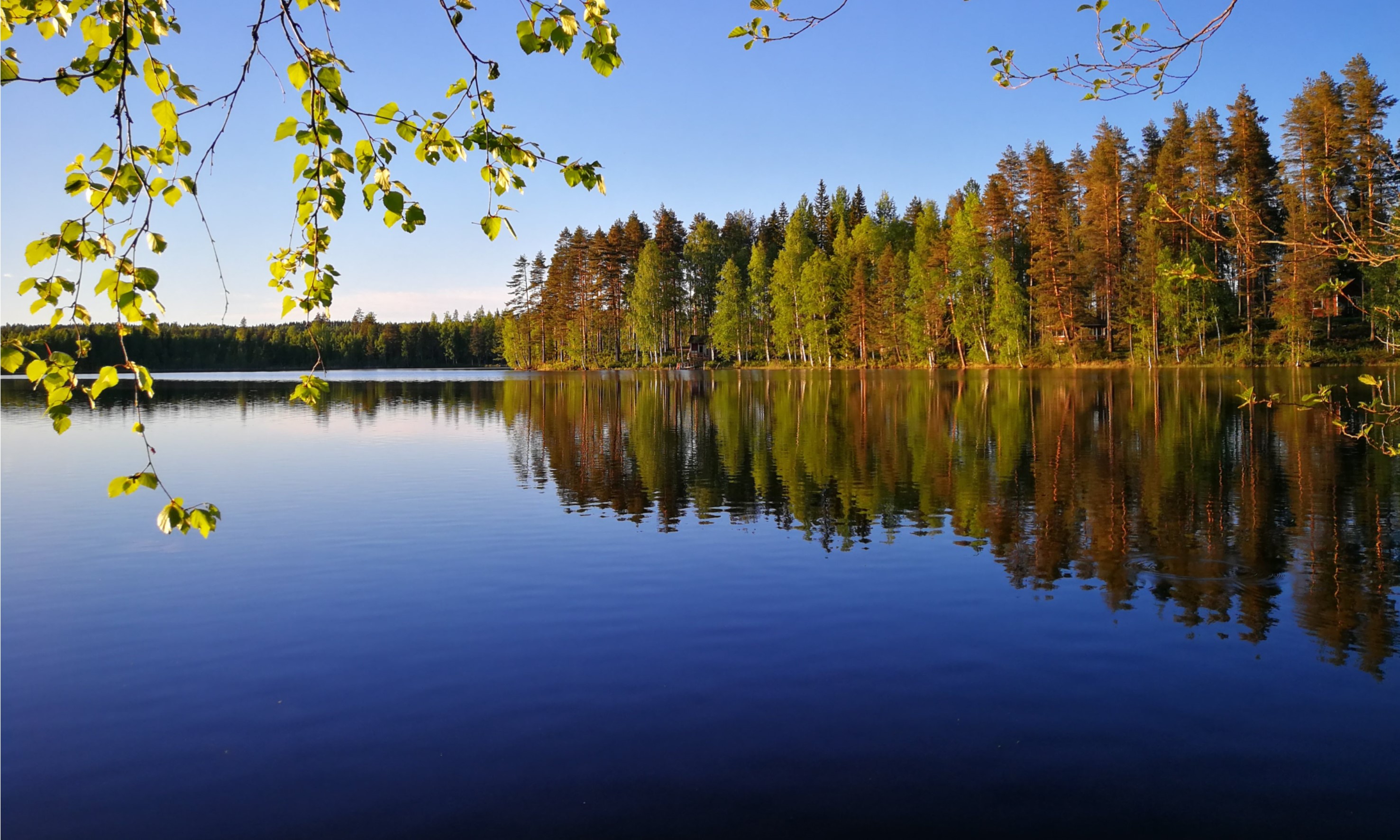 Joroinen - Järvi-Saimaa